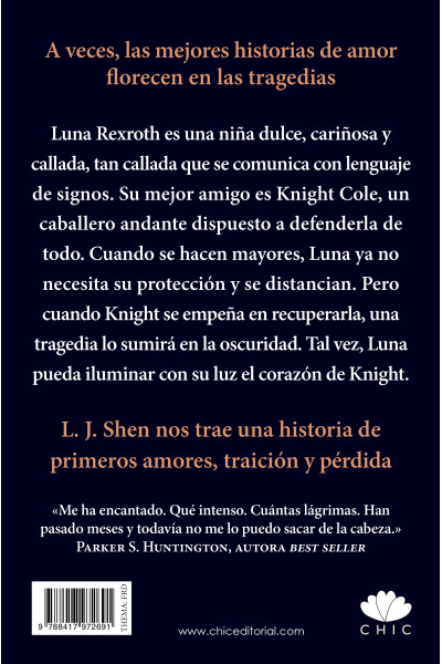 Broken Knight